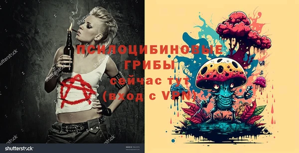 трава Заволжье