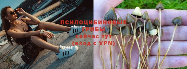 шишки Яранск